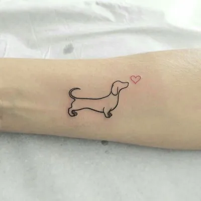 Pin by Vanessa Vanderplas on Tatoeages | Daschund tattoo, Dachshund tattoo,  Tattoos