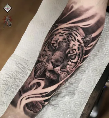 Тату тигр на руке в стиле реализм | Portrait tattoo, Animal tattoo, Tattoos