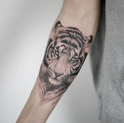 Значение татуировки тигра: фото и экскизы татуировки | Жизненно | Дзен