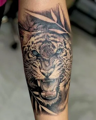 Тигр с голубыми глазами, мужская тату на плече - фото татуировок | Tiger  tattoo, Tiger tattoo sleeve, Animal sleeve tattoo