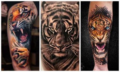 Мужские татуировки на руке с тигром - tattopic.ru