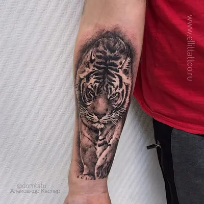 Тату тигр. Тату тигр для мужчин на руке. Больше крутых тату на нашем сайте  11111 | Цветные татуировки, Тату, Татуировки