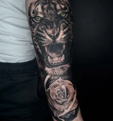 Тату тигр цветной на мужской руке | Tattoos, Tattoo artists, Animal tattoo