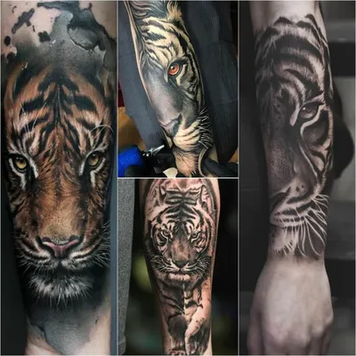 Мужские татуировки с тиграми: описание, значение, идеи и фото - tattopic.ru