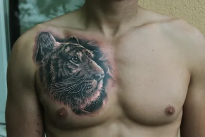 Фото татуировки Тату тигры на спине - (139232)