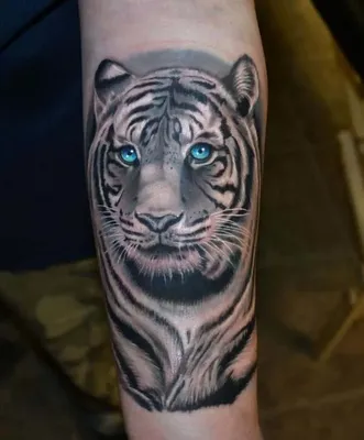 80+ ФОТО] Красивые Тату Тигр для Мужчин и Девушек | Cool arm tattoos, Best  sleeve tattoos, Lion tattoo sleeves