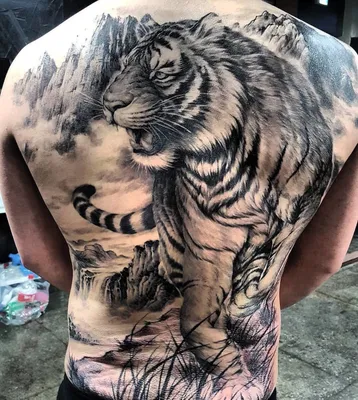 Татуировка мужская чикано на на спине тигр 2013 | Art of Pain