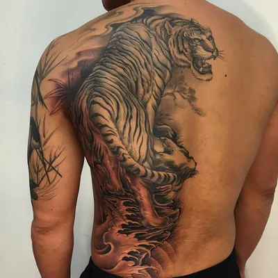 Тату тигр дерево - 3 Фото и значение татуировок 2024
