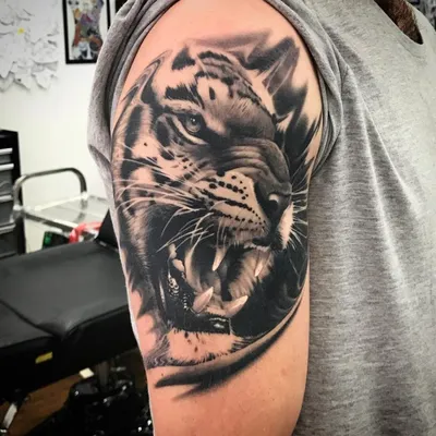 Татуировки на спине тигр (78 фото)