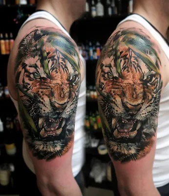 Тату воин тигр - 1 Фото и значение татуировок 2023