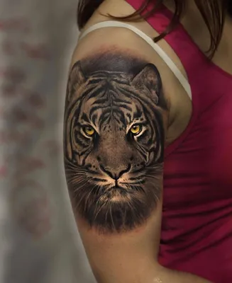 Фото татуировки Тату тигр на спине - (1259839)