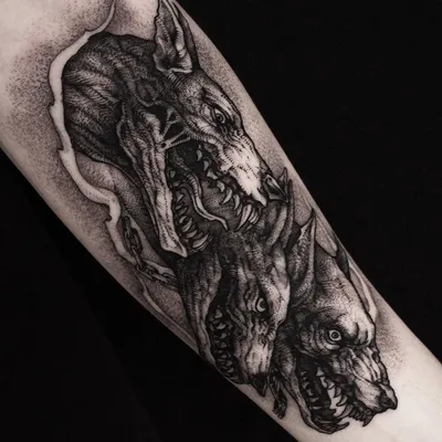 Baraka_tattoo_studio - Цербер – чудовищный трёхголовый пёс, что охраняет  вход в царство Аида. Он не даёт живым проникнуть в мир мёртвых, а мёртвым –  вернуться в мир живых. Этот мифический пограничник, впрочем,