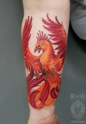 Татуировка мужская фентези на предплечье феникс | Phoenix tattoo, Phoenix  bird tattoos, Phoenix tattoo design