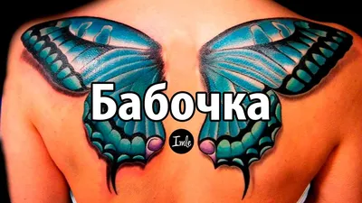 тату бабочки на руке что обозначает｜TikTok Search