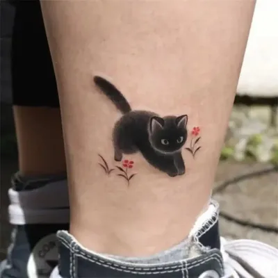 кот #котята #кошечки #cat #сфинкс #кошкисфинксы #tattoomoscow #tattoo:  tattooshka54 — LiveJournal