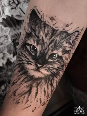 Тату кошка | Black cat tattoos, Cat tattoo designs, Cute cat tattoo
