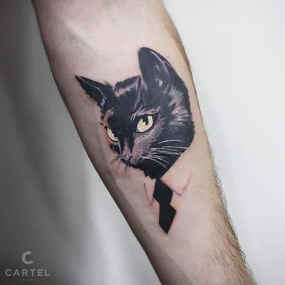 Тату эскизы \"Коты\" - VeAn Tattoo