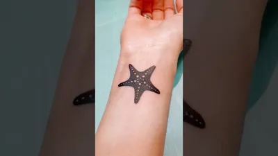 Необычные виды звезд для татуировок и их значение | ВКонтакте