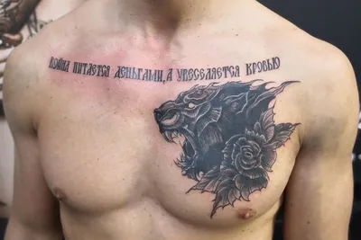 Сколько стоит перебить татуировку в Луге: 81 тату-мастер с отзывами и  ценами на Яндекс Услугах.