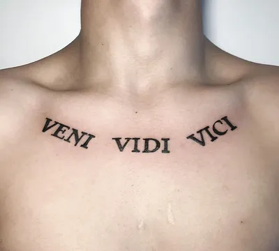 Купить Временное тату Veni vidi vici - Ink-Ok. 💥 Переводные флеш тату или  татуировки можно всегда найти нашем магазине 🥰. Тату наклейка