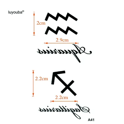Временное тату \"Знаки зодиака: Водолей\": купить в Arley Sign!