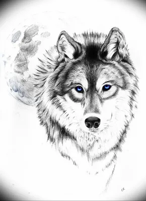 Тату волк: эскизы мужские - женские, уникальные рисунки, значения