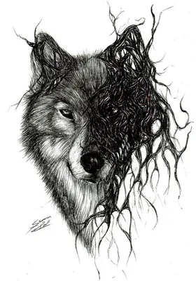 Тату с изображением волка - значение, эскизы, фото и цены. Сколько стоит  сделать татуировку с изображением волка?