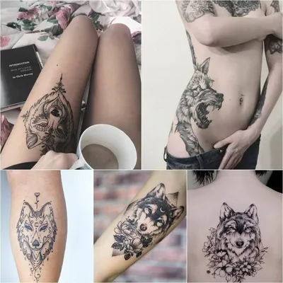Эскиз тату волка - 92 фото работ | Лучшие эскизы татуировки волк