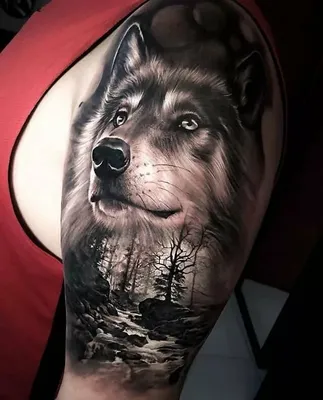 Волк - значение татуировки | Портачек | Дзен