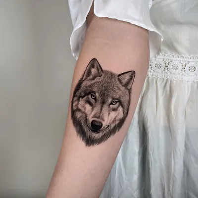 Тату волка: фото и идеи татуировок, значение и эскизы
