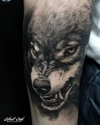 Татуировка волка на плече: вдохновляющие идеи и описание техники -  tattopic.ru
