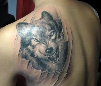 Тату в виде волка: фото работ, значение татуировки волк