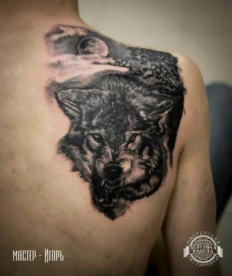 Пин от пользователя Рамиль Сунчалиев на доске леха | Дизайн татуировки волка,  Татуировка волк, Тату