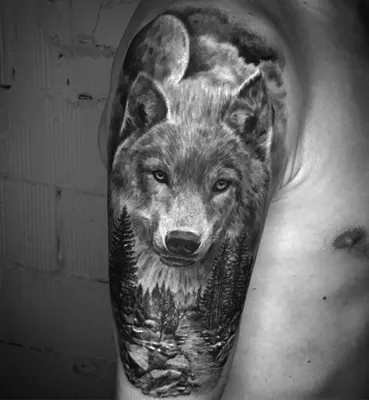 Тату на плече волк - 20 Фото и значение татуировок 2024