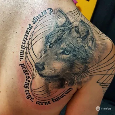 10 крутых тату волка на плече для мужчин | Wolf tattoo sleeve, Wolf  tattoos, Animal tattoos