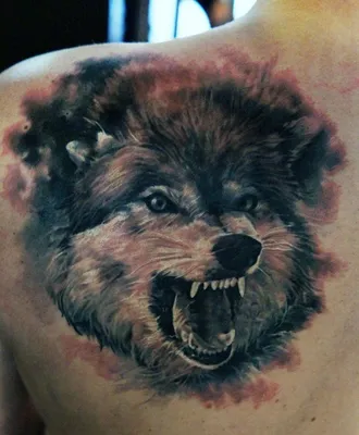 Фото тату волк и волчица сделать в тату салоне в Москве по низкой цене