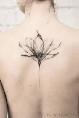 тату на спине женские 18.11.2019 №001 -women back tattoos- tatufoto.com -  tatufoto.com