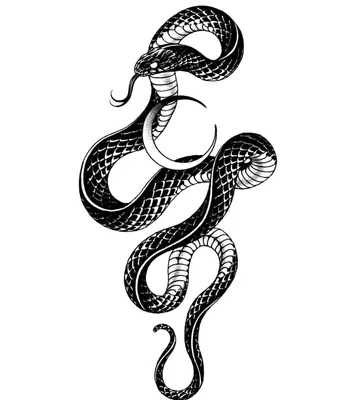 Тату эскиз змея Кристалы tattoo design snake crystal | Тату кобры, Тату, Эскиз  тату