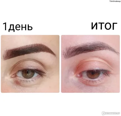 Татуаж бровей черного цвета, как подобрать, как выглядит black color