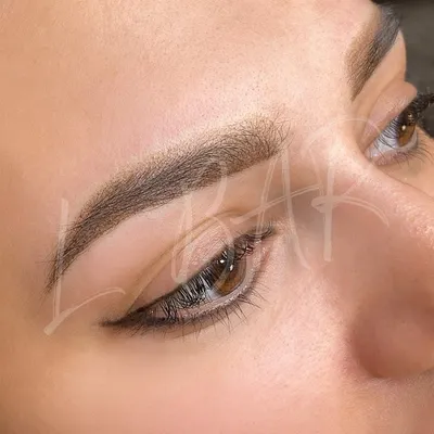 Волосковая техника перманентного макияжа бровей - pro.bhub.com.ua