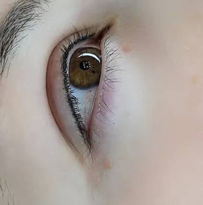 Межресничный татуаж глаз от Оксаны Бужаевой по доступной цене