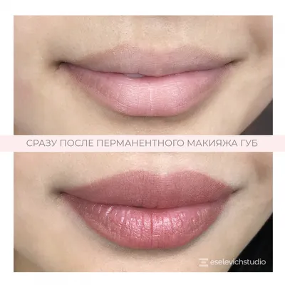 Фото татуажа губ до и после: акварельная техника, 3D/6D и помадный эффект  LBar.com.ua