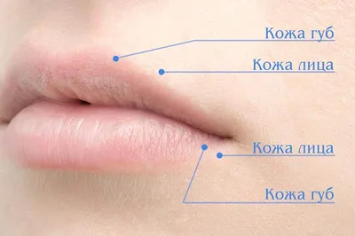 Натуральный татуаж губ, \"акварель\" | Косметиста