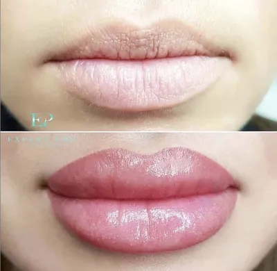 Перманентный макияж губ нюдовыми цветами (63 фото)