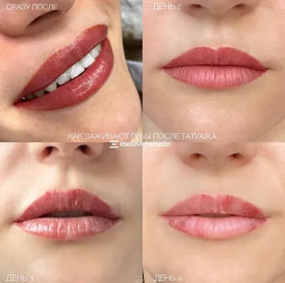 Перманентный макияж губ в СПб, татуаж губ цены Etalon-pmu