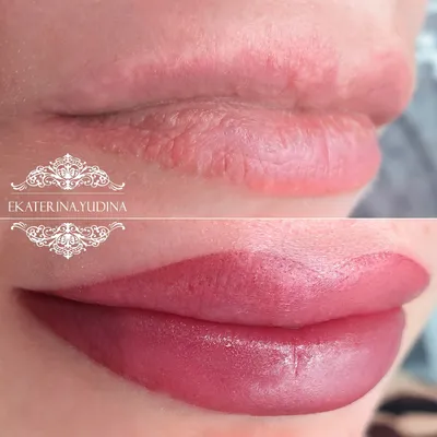 Татуаж губ с натуральным эффектом в Москве — Цены на натуральный  перманентный макияж губ