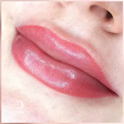 Татуаж губ с растушевкой, перманентный макияж губ в Москве — Цены на  перманент с растушевкой контура
