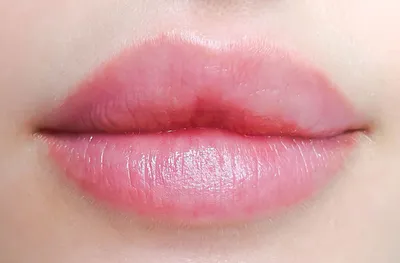 Заживший перманентный макияж губ 🦋Мастер Диана Стоимость процедуры 8000₽  ✔️Без корочек ✔️Без отеков ✔️Без боли 🏆Работы … | Макияж губ, Макияж,  Перманентный макияж