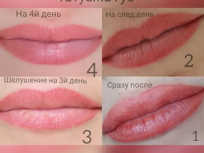 Заживление перманентного макияжа губ — Студия Ольги Ханафи на TenChat.ru