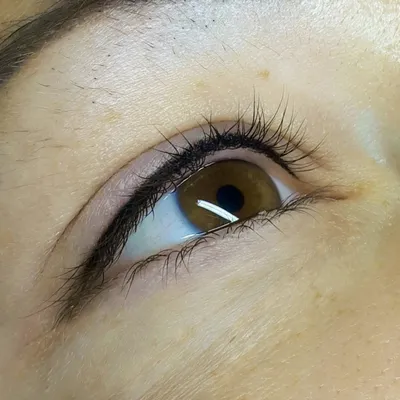 Перманентный макияж глаз тени с растушевкой - 78 photo